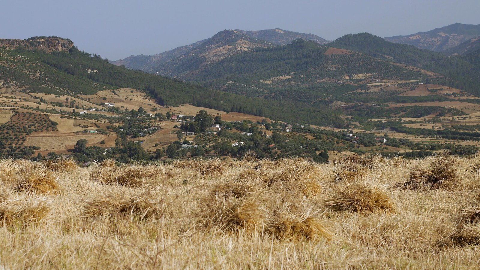 rif-pottery-ceramics